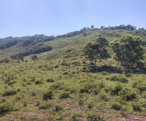 Condor Gold | La India TSF Feasibility Design