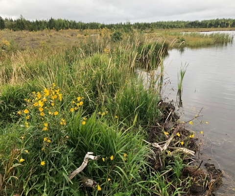 Revisión de seguridad de Presa Dona Lake