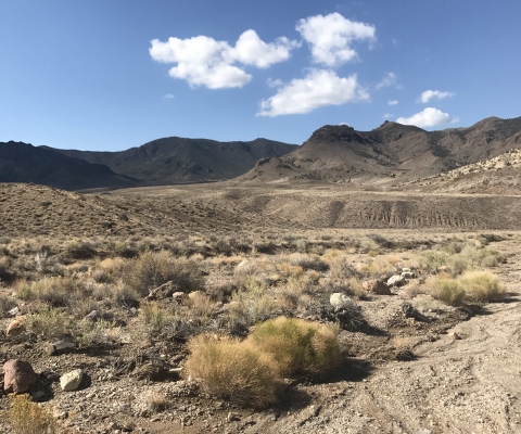 Rhyolite Ridge